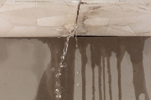 Professional Water Damage Inspection technician working in Elgin, TX